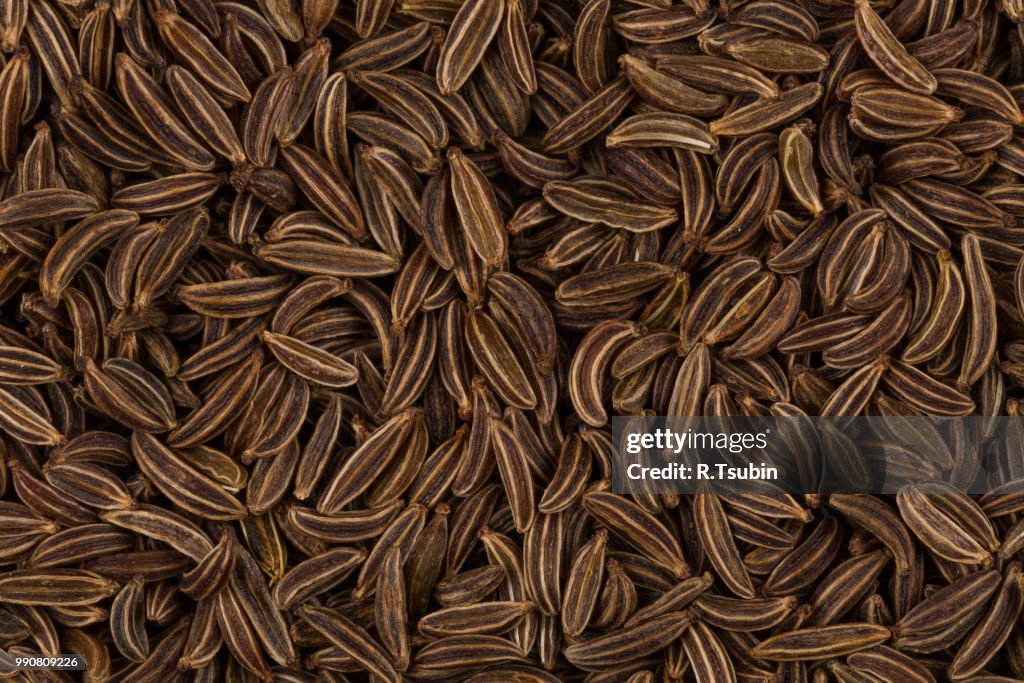 Pile of dry caraway seeds as a background