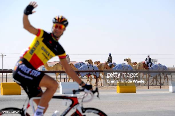 9Th Tour Of Qatar, Stage 2Illustration Illustratie, Camels Chameau Kameel, Tom Boonen / Camel Race Track - Qatar Foundation / Rit Etape, Ronde, Tim...