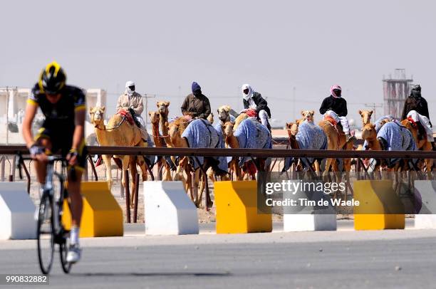 Camel Racing Track 249 Camel Race Track And Qatar Foundation Stock Photos, High-Res ...