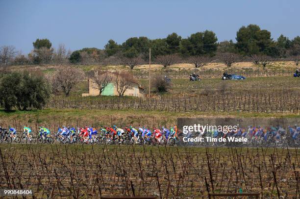 Paris - Nice 2010, Stage 5Illustration Illustratie, Peleton Peloton, Vineyards Wine Vignobles Wijngaard, Landscape Paysage Landschap,...