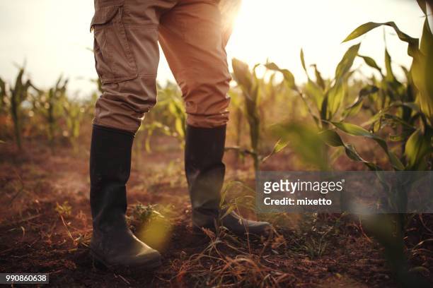 farmer in rubber boots - ankle boot stock pictures, royalty-free photos & images