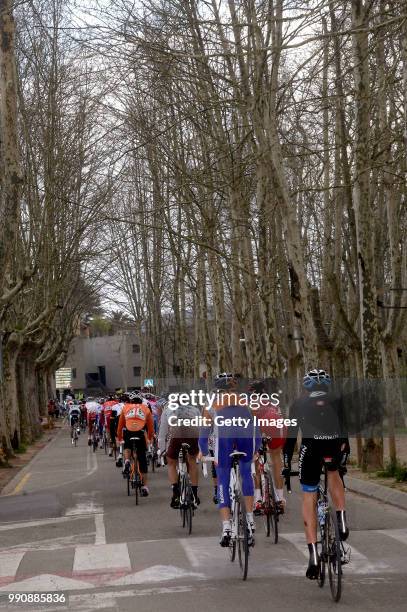 Volta Ciclista A Catalunya 2011, Stage 2Illustration Illustratie, Peleton Peloton, Forest Bois Bos, Landscape Paysage Landschap, Santa Coloma De...