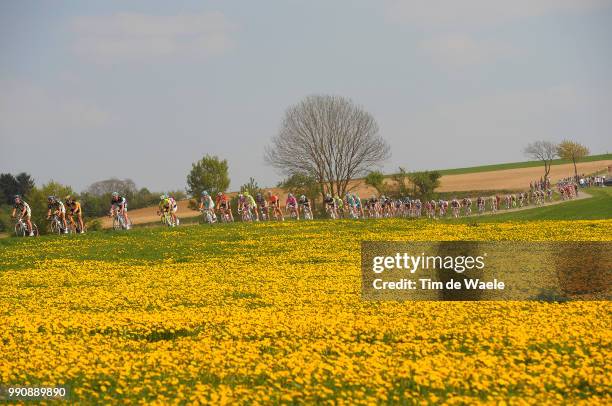 46Th Amstel Gold Race 2011Illustration Illustratie, Peleton Peloton, Flowers Fleurs Bloemen, Landscape Paysage Landschap, Maastricht - Valkenburg...