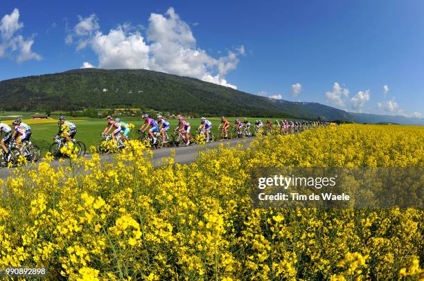 65Th Tour De Romandie 2011, Stage 5Illustration Illustratie, Peleton Peloton, Flowers Fleurs Bloemen, Landscape Paysage Landschap, Champagne - Geneve...