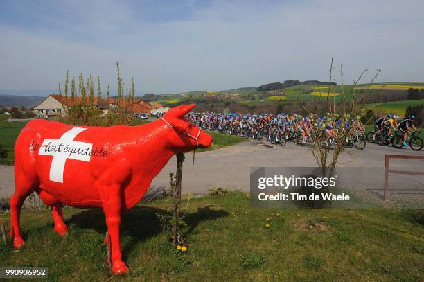 66Th Tour Romandie 2012, Stage 3Illustration Illustratie, Swiss Cow Vache Koe, Peleton Peloton, Bradley Wiggins Yellow Jersey, La Neuveville -...