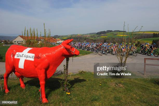66Th Tour Romandie 2012, Stage 3Illustration Illustratie, Swiss Cow Vache Koe, Peleton Peloton, Bradley Wiggins Yellow Jersey, La Neuveville -...