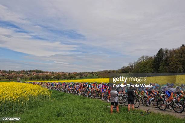 66Th Tour Romandie 2012, Stage 2Illustration Illustratie, Peleton Peloton, Yellow Flowers, Landscape Paysage Landschap, Montbeliard - Moutier / Ronde...