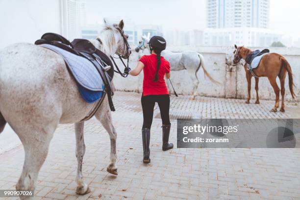 vrouw toonaangevende paard - breeches stockfoto's en -beelden