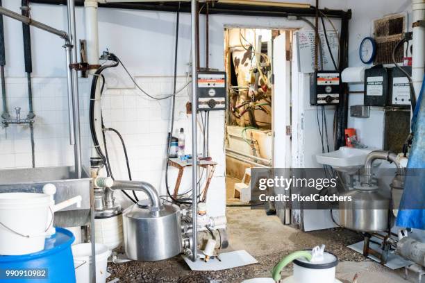 automated milking machinery in a small scale sustainable dairy - milking machine stock pictures, royalty-free photos & images