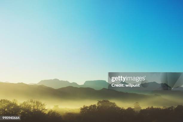 yellow sunrise over cape winelands early morning misty silhouette tree and mountain scene - cape winelands imagens e fotografias de stock