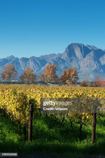 山に秋のケープ ワインランズ シーン - stellenbosch ストックフォトと画像