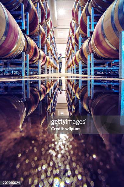man standing between line of stacked wine barrels with reflection in floor water 3x2 - connoisseur stock pictures, royalty-free photos & images