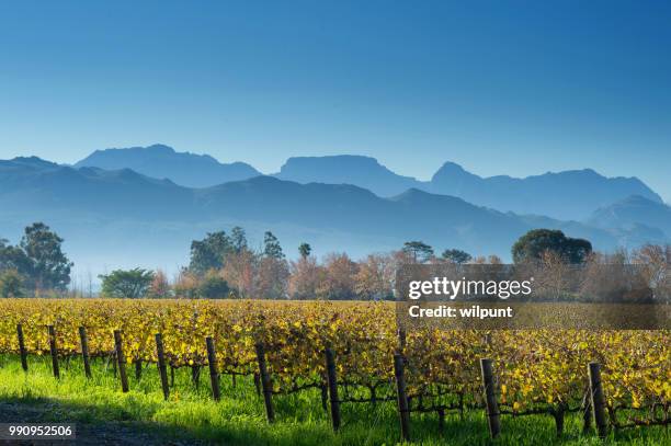 herbst cape winelands szene mit horizontalen bergen - constantia stock-fotos und bilder