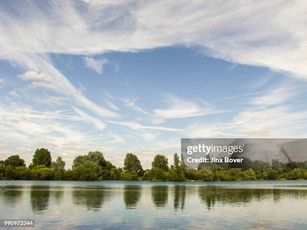 pond life - pond life stock pictures, royalty-free photos & images