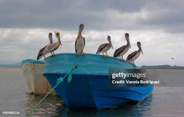 bahía de caráquez,ecuador - bahía stock pictures, royalty-free photos & images