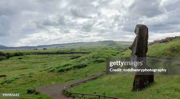 Rano Raraku Reeds 1,266 Rano Stock Photos, High-Res Pictures, and Images - Getty Images