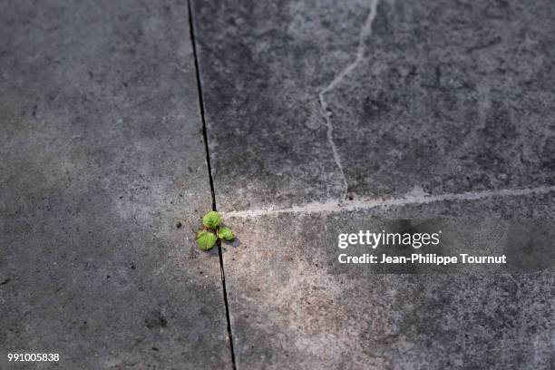 nature versus city - entre deux photos et images de collection