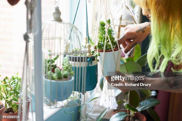 Young hipster woman tending to her succulent house plants