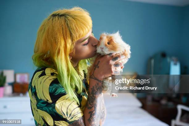 woman kissing her pet guinea pig - tierfreundschaften stock-fotos und bilder