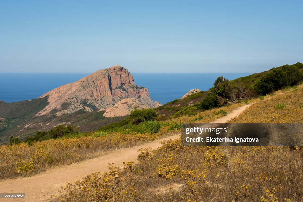 Red rock and yellow flowers