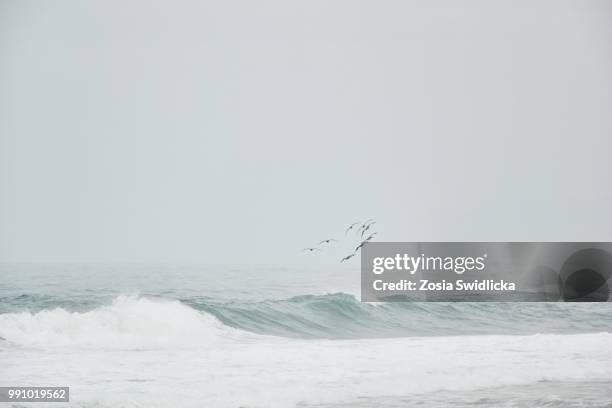 waves - sosia stock pictures, royalty-free photos & images