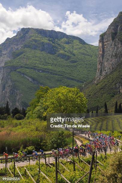 95Th Tour Of Italy 2012, Stage 16 Illustration Illustratie, Peleton Peloton, Vineyards Vignobles Wijngaard, Mountains Montagnes Bergen/ Landscape...