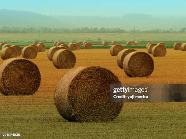 Real Rools 79 Rools Stock Photos, High-Res Pictures, and Images - Getty Images