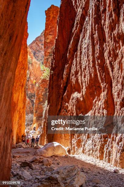 standley chasm as the sun passes overhead - fun northern territory stock pictures, royalty-free photos & images