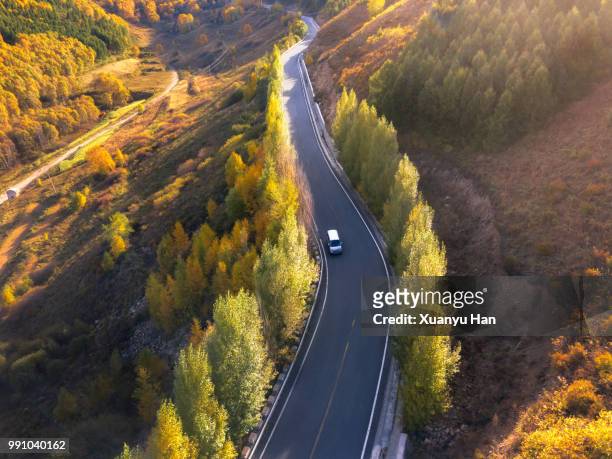 Road through the autumn forest