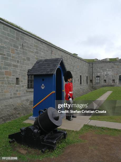 quebec, canada - july 1st, 2018: 22nd regiment guard the citadel in old quebec city - granadeiro imagens e fotografias de stock
