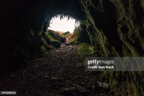 Large Rabbit Hole 3,557 Rabbit Hole Stock Photos, High-Res Pictures, and Images - Getty ...