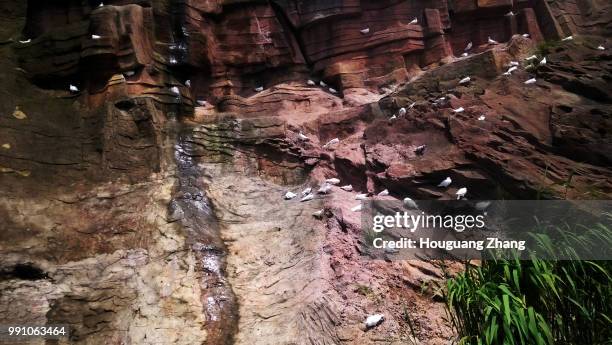 Pigeon Stone Rocks Pigeon Rocks Photos and Premium High Res Pictures - Getty Images