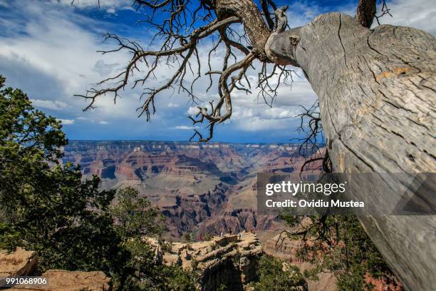 mather point at grand canyon - mather point stock pictures, royalty-free photos & images