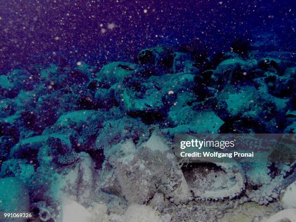 Muhammad Fish 1 691 Muhammad Fish Stock Photos, High-Res Pictures, and Images - Getty ...