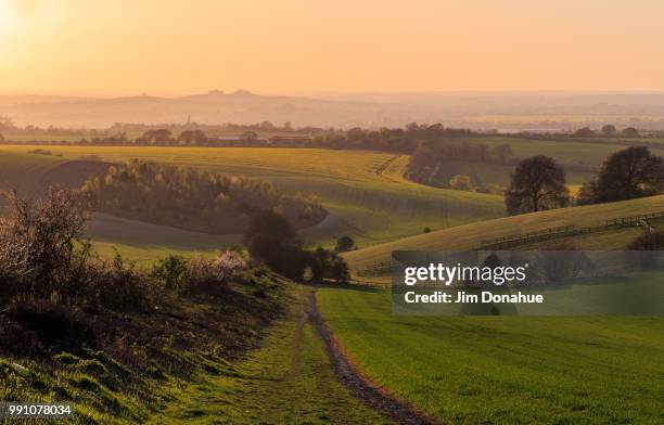 view over wittenham clumps, oxfordshire - jim donahue stock pictures, royalty-free photos & images