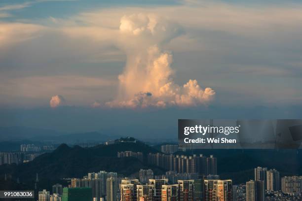 shenzhen city - wei shen ストックフォトと画像