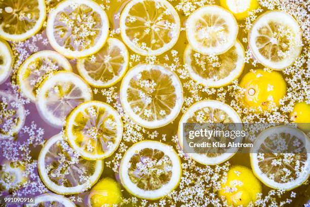 lemon - klas stock pictures, royalty-free photos & images