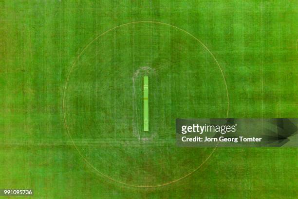 cricket field - grass texture stock pictures, royalty-free photos & images