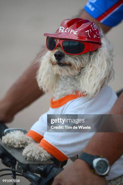 7Th Tour De San Luis, Team Presentation Fans Supporters, Dog Chien Hond, Tour De San Luis, Ronde /Tim De Waele