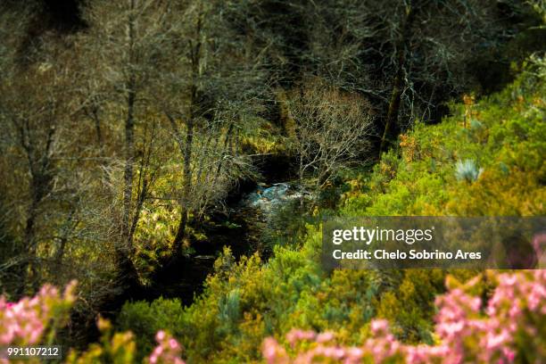 o invernadoiro - ares stock pictures, royalty-free photos & images