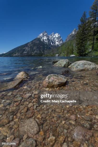 jenny lake (p) - jenny lake stock-fotos und bilder