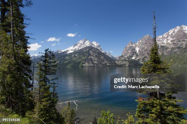 tetons on jenny lake (l) - jenny lake stock-fotos und bilder