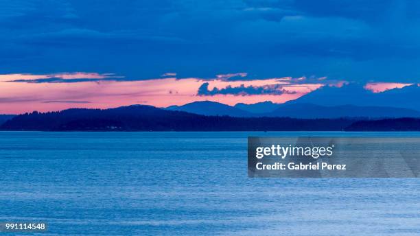 seattle's elliott bay at dusk - elliott bay bildbanksfoton och bilder