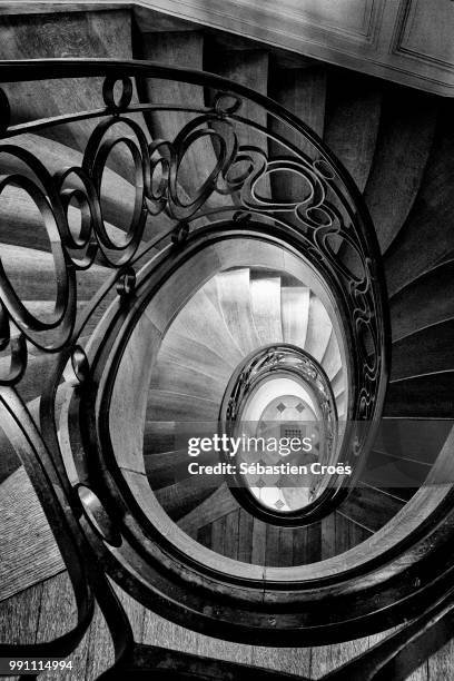 Complete Scatterbrain 12 Scatterbrain Stock Photos, High-Res Pictures, and Images - Getty Images