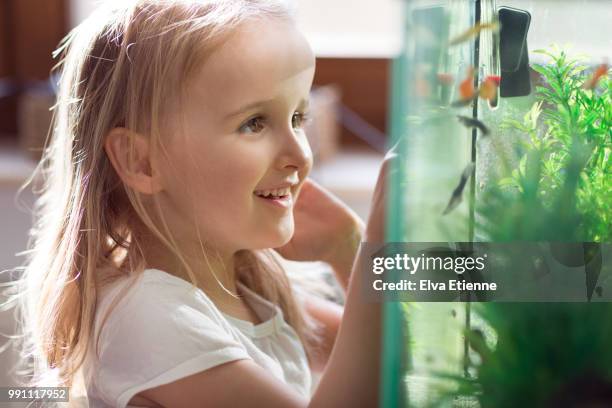 happy girl looking at pet fish in a home aquarium - home aquarium stock pictures, royalty-free photos & images