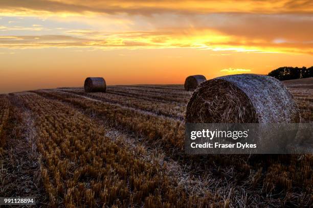 Fraser Field Photos and Premium High Res Pictures - Getty Images
