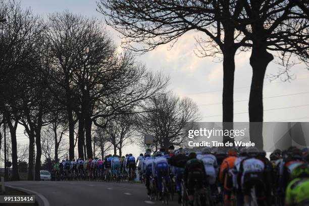 97Th Tour Of Flanders 2013 Illustration Illustratie, Peleton Peloton, Silhouet, Forrest Bois Bos, Landscape Paysage Landschap, Brugge - Oudenaarde /...