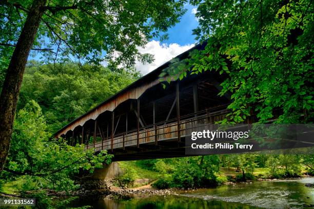 mohican state park - terry woods stock pictures, royalty-free photos & images