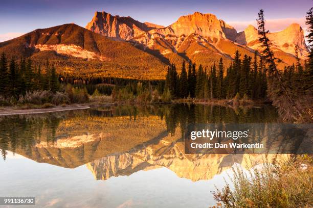couger creek - canmore - couger stockfoto's en -beelden