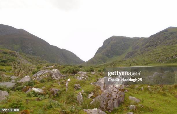 beautiful ireland - claddagh stock pictures, royalty-free photos & images